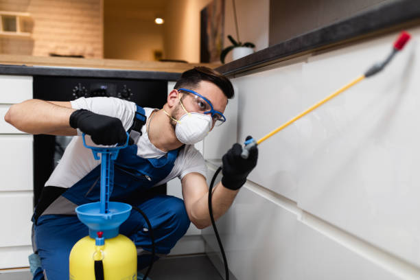 Best Wasp Removal Services  in Essex Fells, NJ