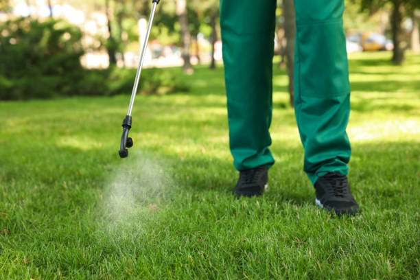 Best Local Pest Control Services  in Essex Fells, NJ