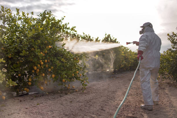 Best Termite Control Services  in Essex Fells, NJ