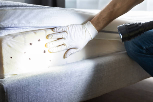 Best Cockroach Control Services  in Essex Fells, NJ