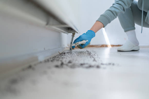 Best Commercial Pest Control Services  in Essex Fells, NJ
